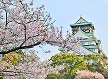 鲸鱼体育登录入口-大批新生儿起名科比或吉安娜 哪个球星名字最热?